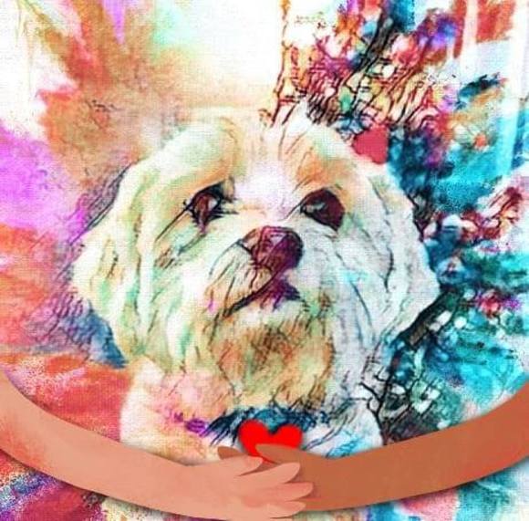 Meet your Posher, Susan - Picture 1 of 1